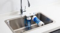 top juicing ro systems