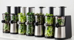 top leafy green juicers