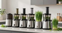 top wheatgrass juicer picks
