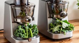 twin gear juicer mechanics