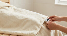 11 Best Home Sauna Blanket Premium in 2026