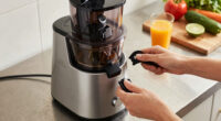 12 Best Premium Masticating Juicers Over $500 in 2026