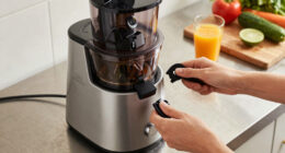 12 Best Premium Masticating Juicers Over $500 in 2026