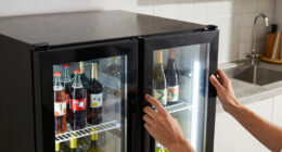 13 Best Dual-Zone Beverage Refrigerator in 2026