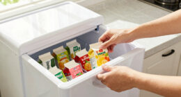 14 Best Chest Freezer for Frozen Juice Packs in 2026
