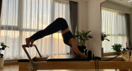 8 Best Home Pilates Reformer Premium in 2026