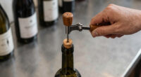 9 Best Best Bottle Corker Machine Premium in 2026