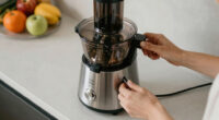 9 Best Twin Gear Juicer for Home in 2026