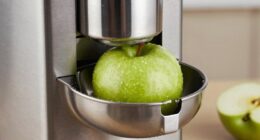 adjustable chute for apples