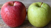 apple variety affects juiciness