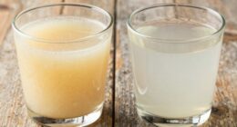 cloudiness indicates pulp presence