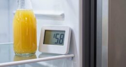 door shelf temperature readings