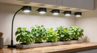 indoor herb lighting setup