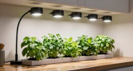 indoor herb lighting setup