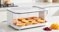 juice preservation through freeze drying