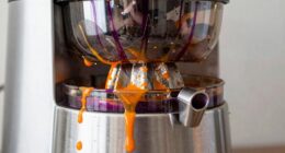 juice stains vary machine