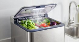 ozone washers benefits and limits