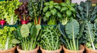 seasonal greens selection guide