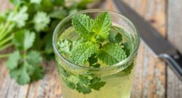 timing affects herb potency