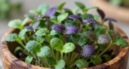 tiny greens potent taste