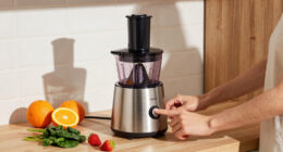 14 Best Juicer And Smoothie Maker Combo in 2026