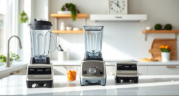 How to Clean a Vitamix E310 Explorian Safely and Effectively