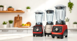 Is the Vitamix 5200 Worth It? Honest Review