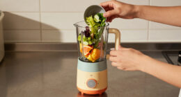 15 Best Portable Blender For Smoothies In 2026