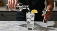 6 Best Non-Alcoholic Gins for Gin and Tonics in 2026
