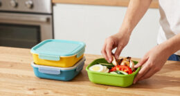Best Healthy Lunch Box Containers Compared