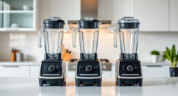 Is the Vitamix E310 Explorian Worth It? Honest Review