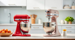 KitchenAid Stand Mixer Leaking Oil: Causes & Easy Fixes