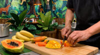 Rainforest Cafe Surges In Global Coverage