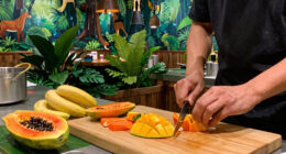 Rainforest Cafe Surges In Global Coverage