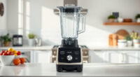 Vitamix Tamper Compatibility & Buying Guide