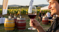 Barbera At The Douja d'Or: Asti's September Wine Fair Explained