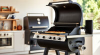 Ninja Outdoor Woodfire Pro XL Grill & Smoker: The Ultimate Summer BBQ Choice