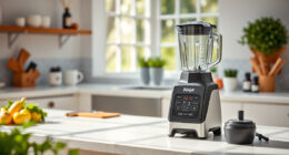 Ninja Professional Blender: Your Summer Drink Companion