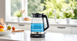 Summer Care Tips for Your Ninja KT200BL Electric Kettle